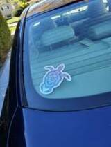 Dominik's review of Colorful Turtle Boho Sticker
