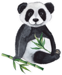 Watercolor Compositions With Pandas Sticker