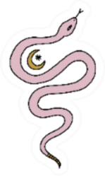 Pink Cute Snake Moon Bohemian Illustration Sticker