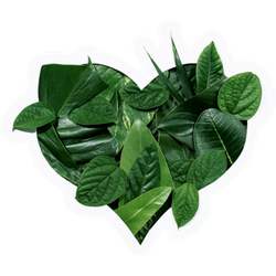 Heart Shape Cutout With Green Leaves Sticker