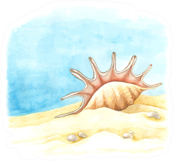 Watercolor Background With Large Shell Sticker