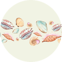 Watercolor Seamless Borders Watercolor Seashell Sticker