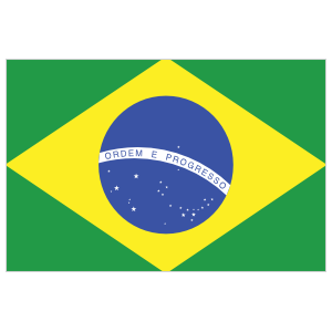 Brazil Flag Sticker