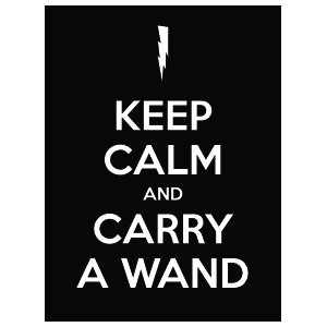 Keep Calm And Carry A Wand Magnet
