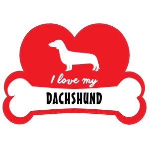Handwritten I Love My Dachshund With Dog Bone And Heart Magnet