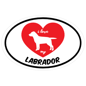 Handwritten I Love My Labrador With Heart Oval Magnet