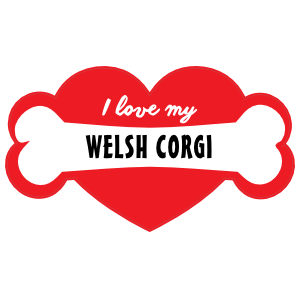 Handwritten I Love My Welsh Corgi With Bone And Heart Magnet